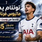 00 توتنام يضم فيرنانديش بـ 113 مليونا