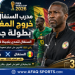 بطولة جديدة السنغال vs بلجيكا