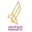 شعار نادي الصقر